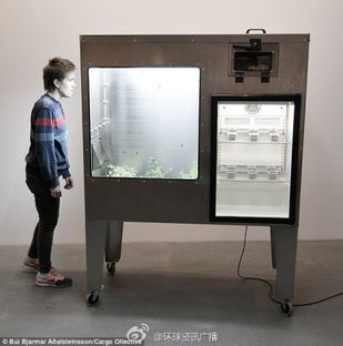 科技與味蕾的奇遇 軟件開發視角下的昆蟲巧克力